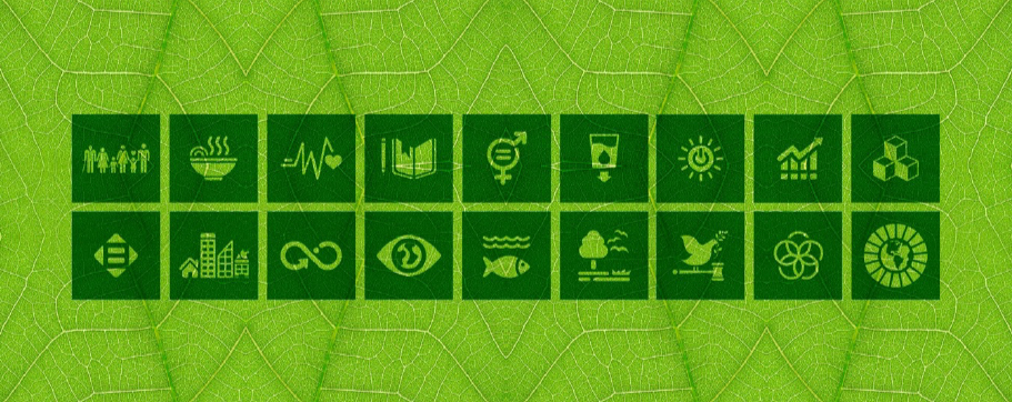 Iconography of the Singapore Green Plan for 2030.