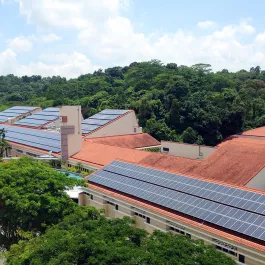 Top view image of the solar panels of the Singapore American School.