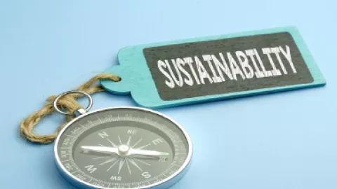 Why sustainability is a business priority