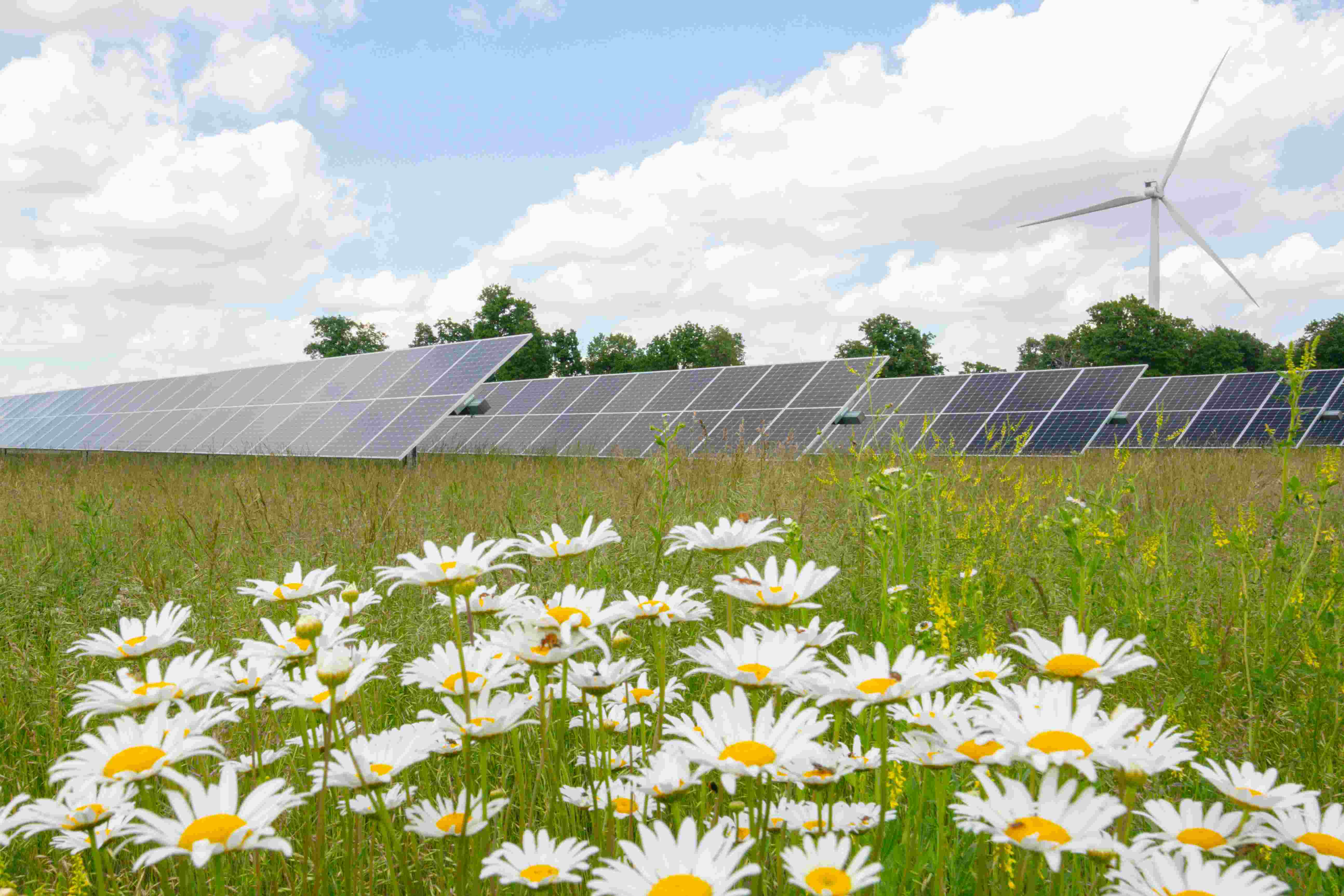 North American Renewable Energy Projects