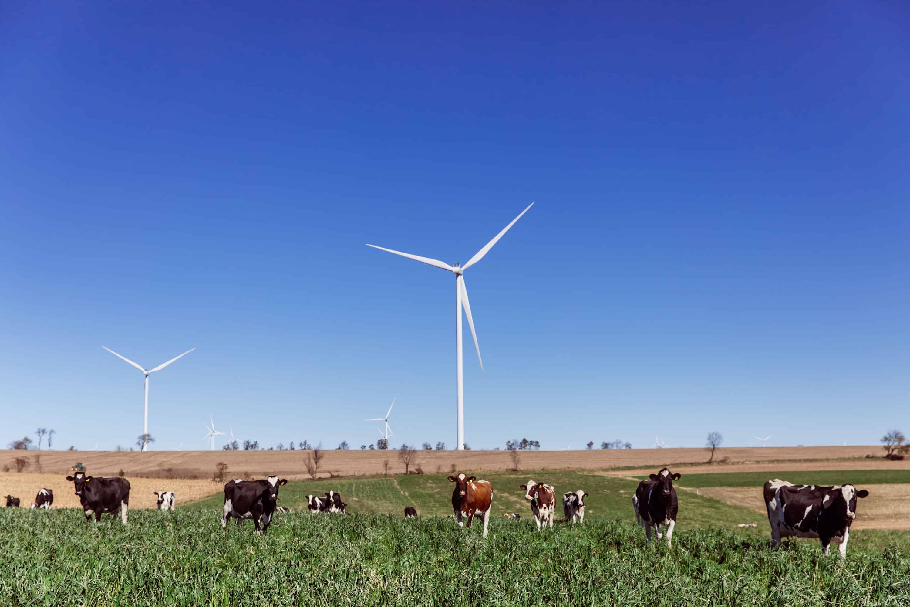 Quilt Block Wind Farm having a positive impact