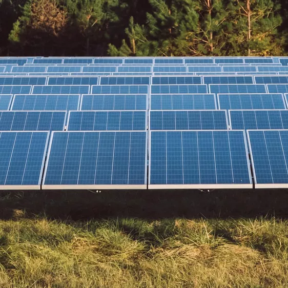 Timber Road Solar Banner