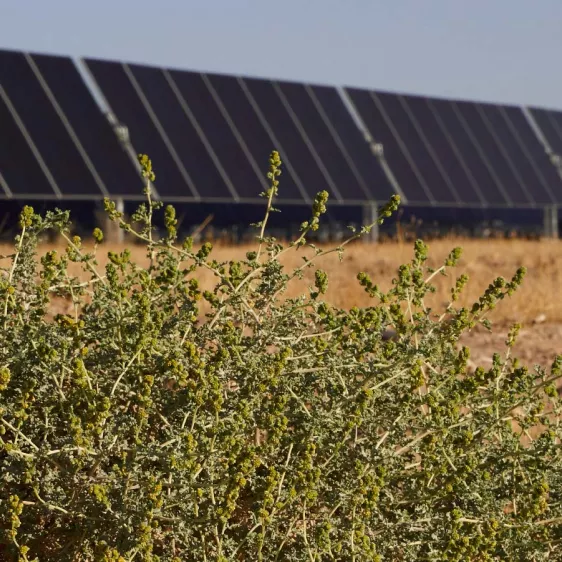 Casa Grande Carmel Solar